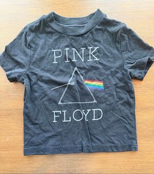 Pink Floyd The Dark Side Of The Moon Toddler T Shirt Gray Size 18 Months